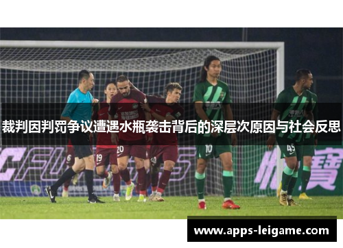 裁判因判罚争议遭遇水瓶袭击背后的深层次原因与社会反思