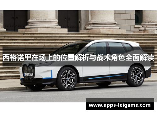 西格诺里在场上的位置解析与战术角色全面解读